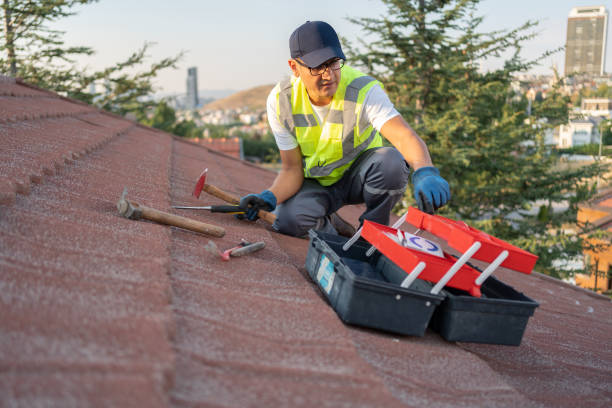 Best Stucco Siding  in Holgate, OH